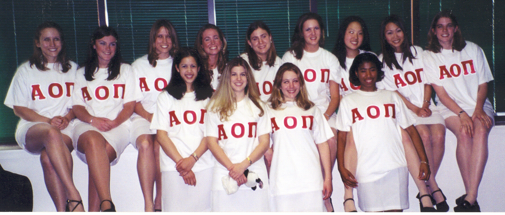 aopi1.jpg